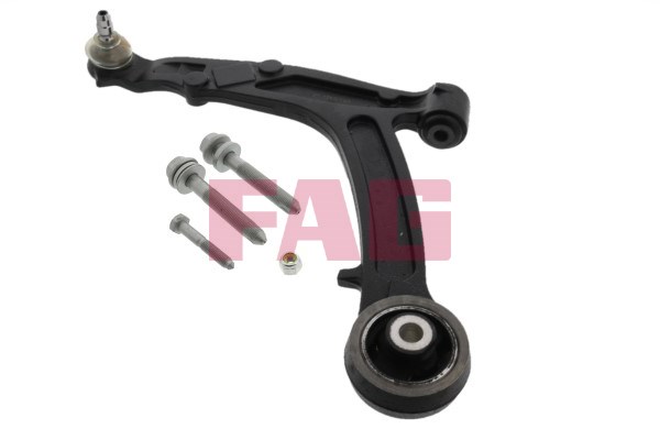 Control Arm/Trailing Arm, wheel suspension FAG 821039210