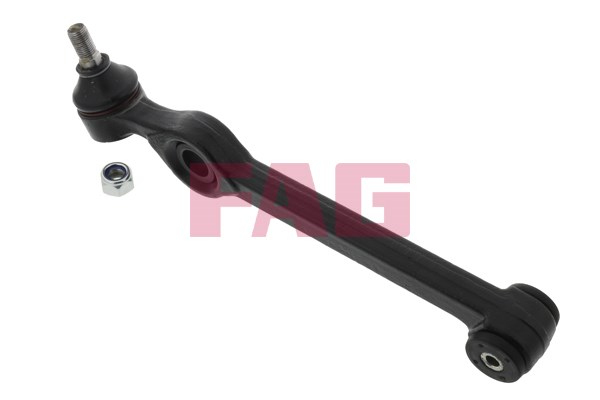 Control Arm/Trailing Arm, wheel suspension FAG 821039610