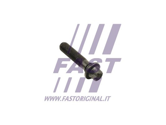 Pulley Bolt FAST FT45901 2