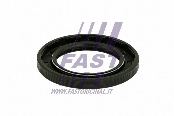 Shaft Seal, differential FAST FT49849 2