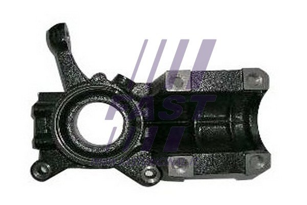 Steering Knuckle, wheel suspension FAST FT13513