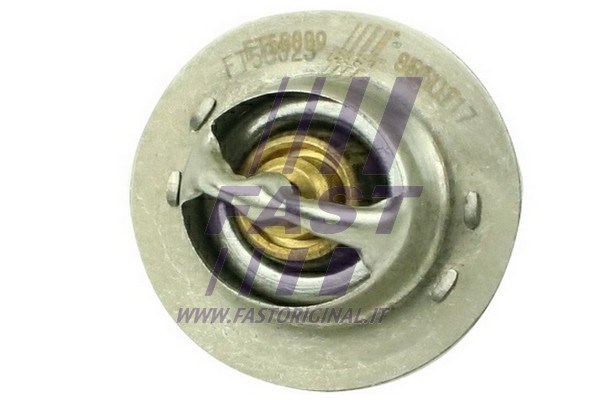 Thermostat, coolant FAST FT58009