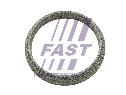 Gasket, exhaust pipe FAST FT84818