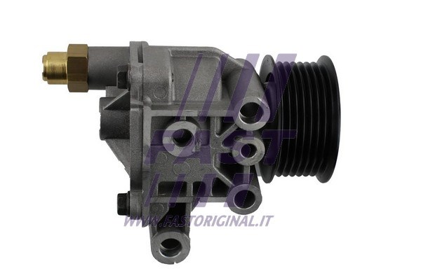 Vacuum Pump, braking system FAST FT36063 2