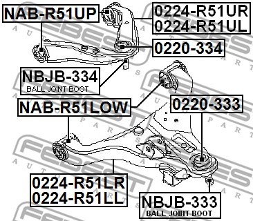 Control Arm/Trailing Arm, wheel suspension FEBEST 0224R51UR 2