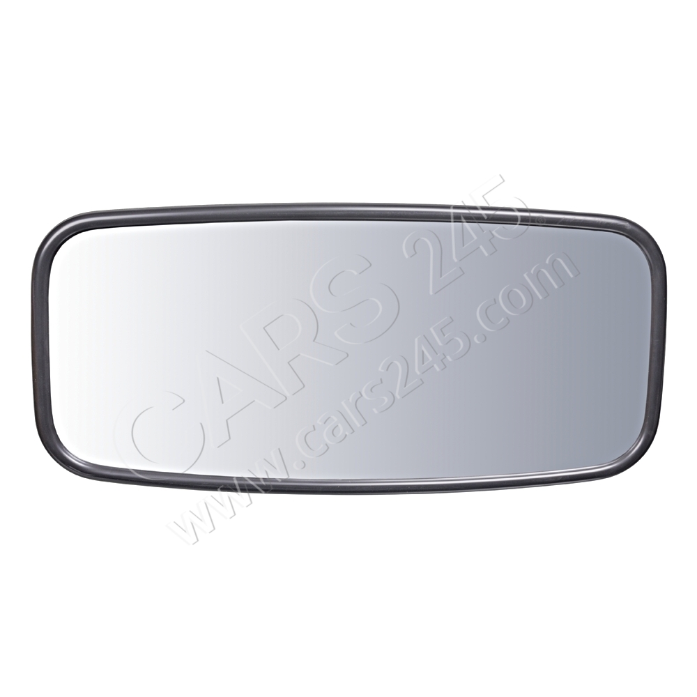 Exterior Mirror, driver cab FEBI BILSTEIN 101389