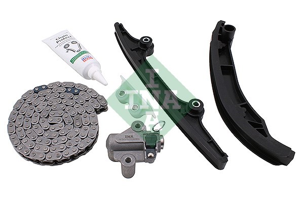Timing Chain Kit INA 559019310