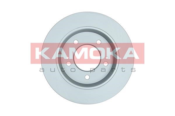 Brake Disc KAMOKA 103513 2