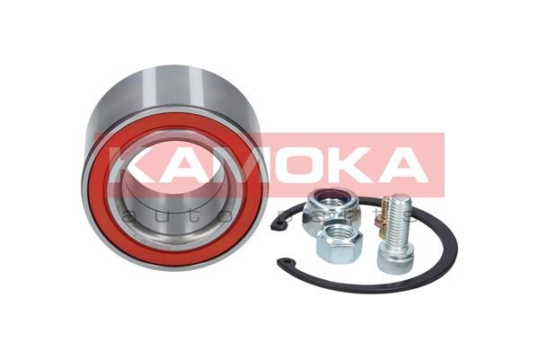 Wheel Bearing Kit KAMOKA 5600071