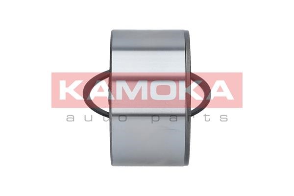 Wheel Bearing Kit KAMOKA 5600071 4