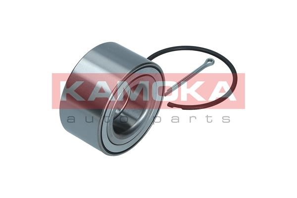 Wheel Bearing Kit KAMOKA 5600195 4