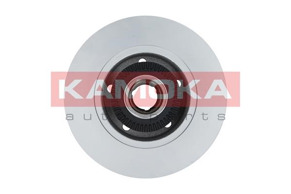 Brake Disc KAMOKA 1031660 2