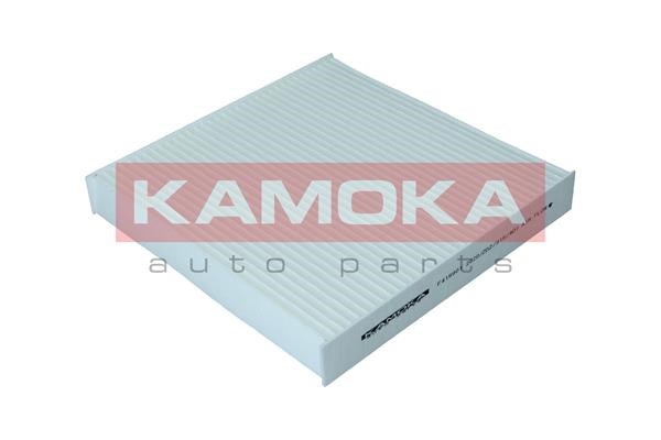 Filter, interior air KAMOKA F419901