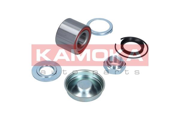 Wheel Bearing Kit KAMOKA 5600070 2