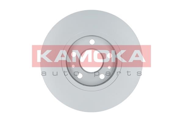 Brake Disc KAMOKA 1031060 2