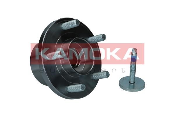 Wheel Bearing Kit KAMOKA 5500143