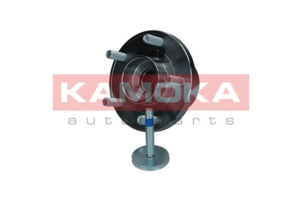 Wheel Bearing Kit KAMOKA 5500143 2