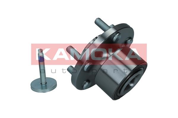 Wheel Bearing Kit KAMOKA 5500143 3
