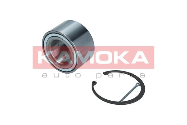 Wheel Bearing Kit KAMOKA 5600197