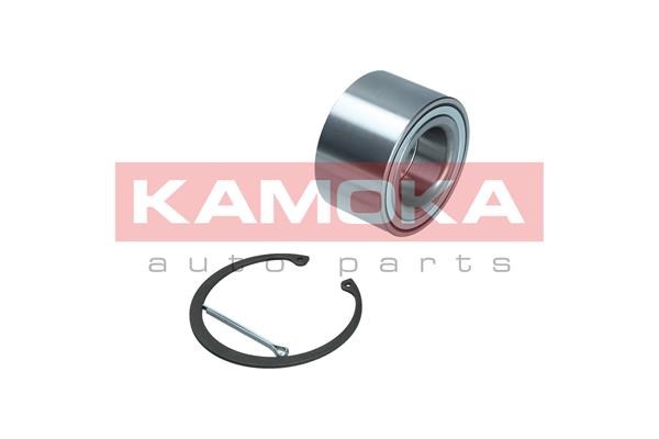 Wheel Bearing Kit KAMOKA 5600197 2
