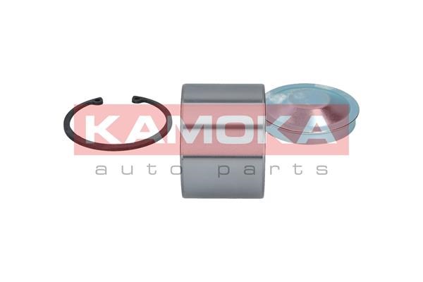 Wheel Bearing Kit KAMOKA 5600028 4