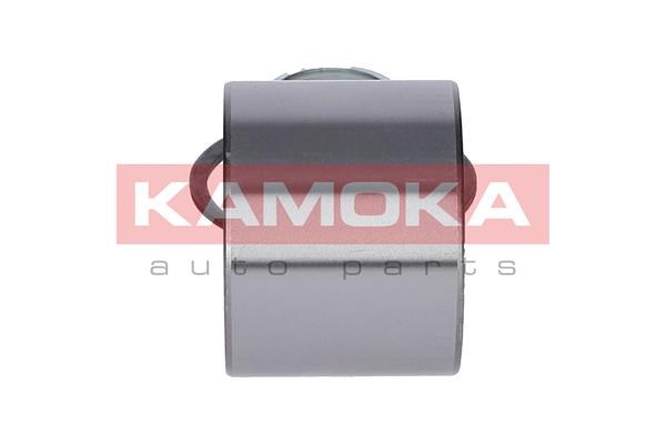 Wheel Bearing Kit KAMOKA 5600065 4