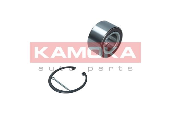 Wheel Bearing Kit KAMOKA 5600112 2