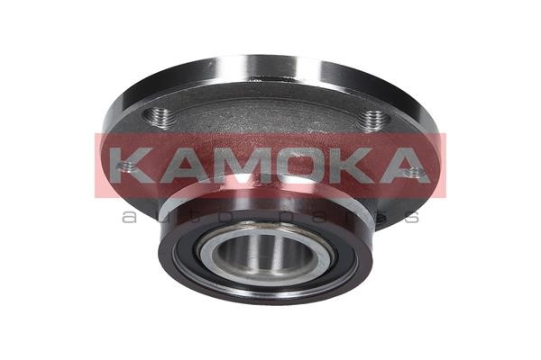 Wheel Bearing Kit KAMOKA 5500030 3