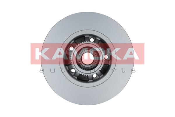 Brake Disc KAMOKA 1031039 2