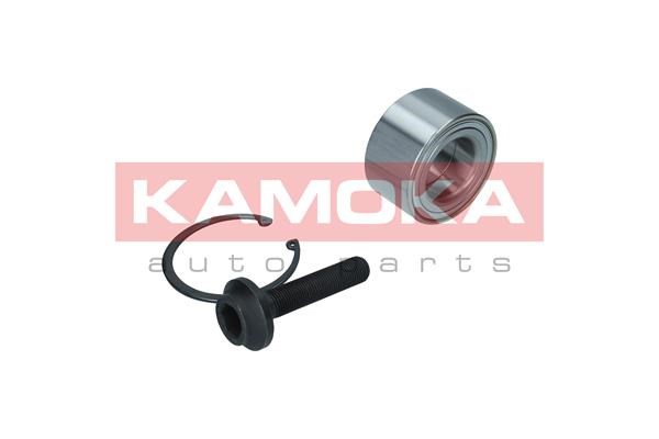 Wheel Bearing Kit KAMOKA 5600105 2