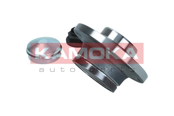Wheel Bearing Kit KAMOKA 5500327 3
