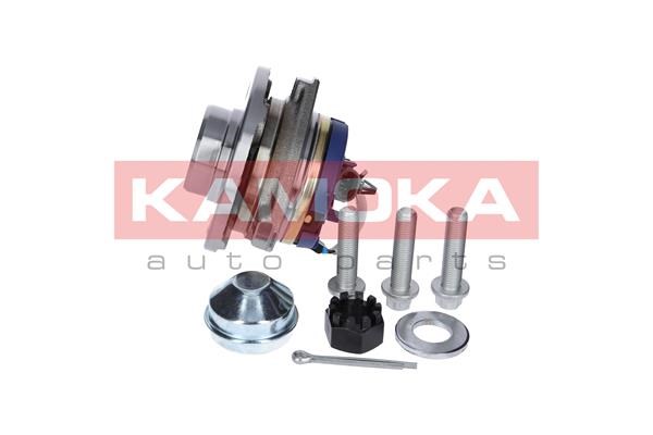 Wheel Bearing Kit KAMOKA 5500061 2
