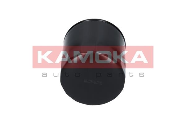 Oil Filter KAMOKA F102301 3