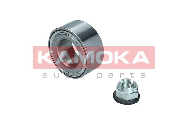 Wheel Bearing Kit KAMOKA 5600211