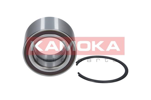 Wheel Bearing Kit KAMOKA 5600062