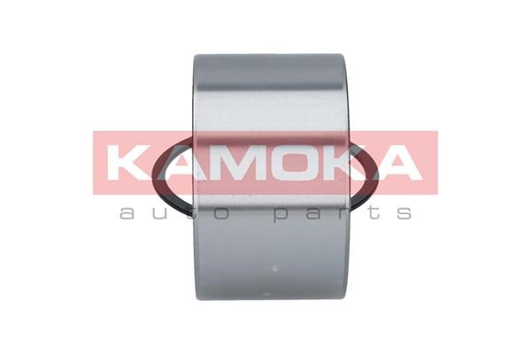 Wheel Bearing Kit KAMOKA 5600062 4