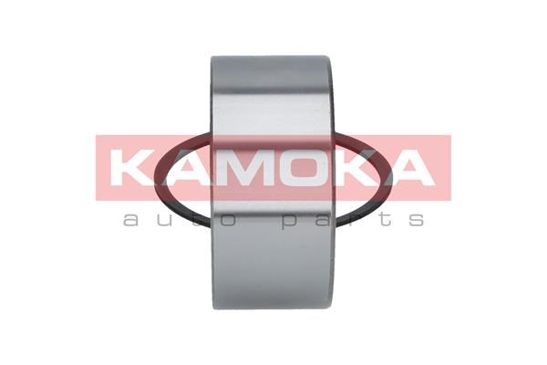 Wheel Bearing Kit KAMOKA 5600041 4