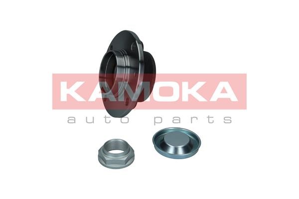 Wheel Bearing Kit KAMOKA 5500156 2