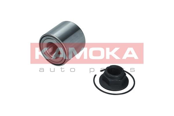 Wheel Bearing Kit KAMOKA 5600196