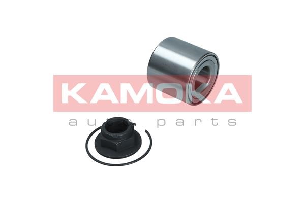 Wheel Bearing Kit KAMOKA 5600196 2