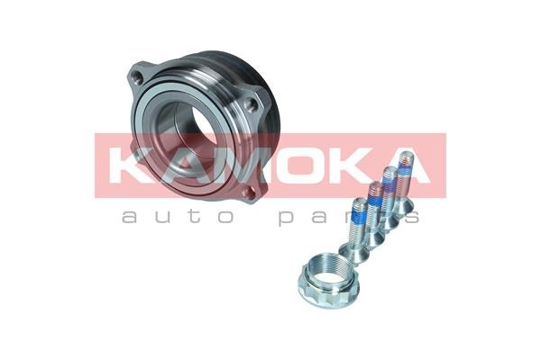 Wheel Bearing Kit KAMOKA 5500301