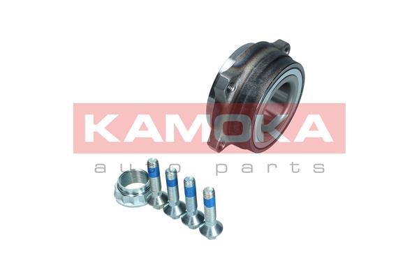 Wheel Bearing Kit KAMOKA 5500301 2
