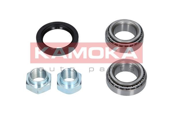 Wheel Bearing Kit KAMOKA 5600010 2