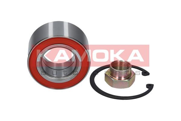 Wheel Bearing Kit KAMOKA 5600020