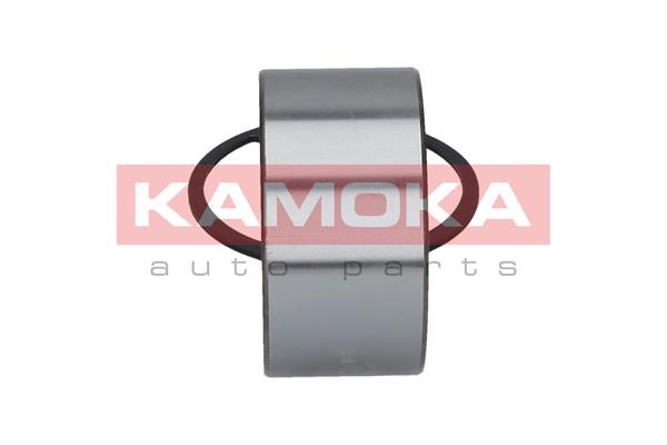 Wheel Bearing Kit KAMOKA 5600020 4