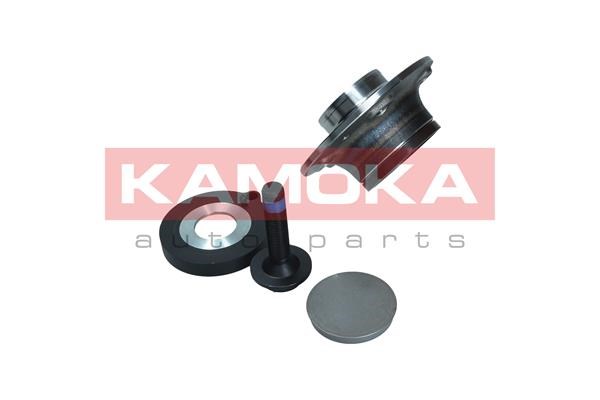 Wheel Bearing Kit KAMOKA 5500172 2