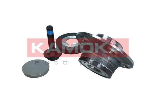 Wheel Bearing Kit KAMOKA 5500172 3