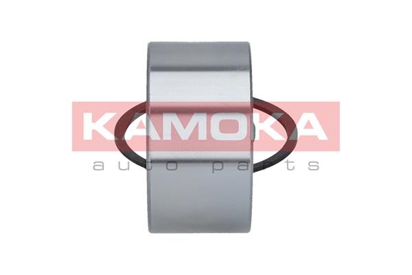 Wheel Bearing Kit KAMOKA 5600059 4