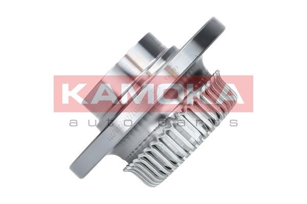 Wheel Bearing Kit KAMOKA 5500025 2