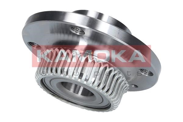 Wheel Bearing Kit KAMOKA 5500025 3